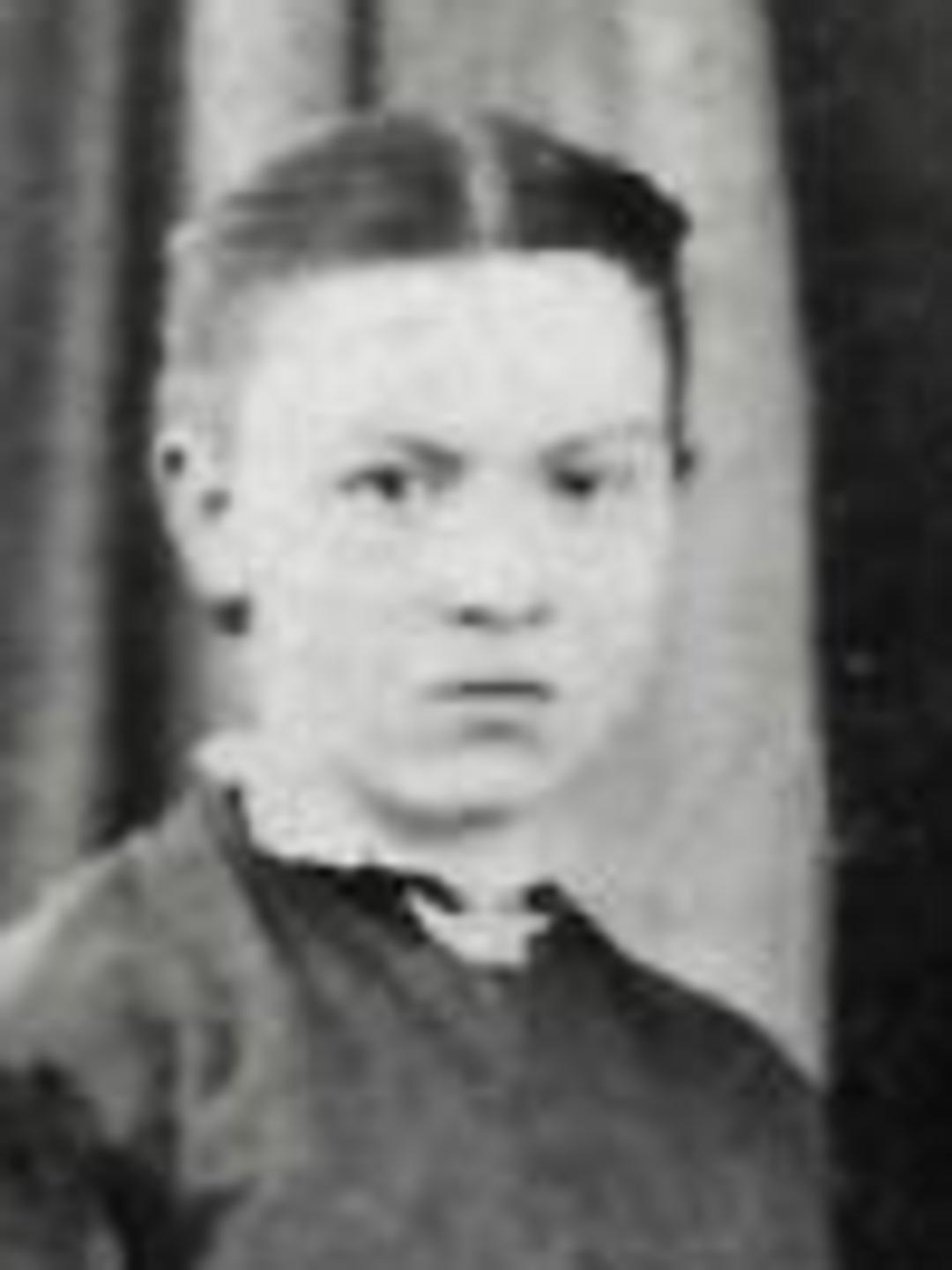 Rosina Hayball (1850 - 1923) Profile